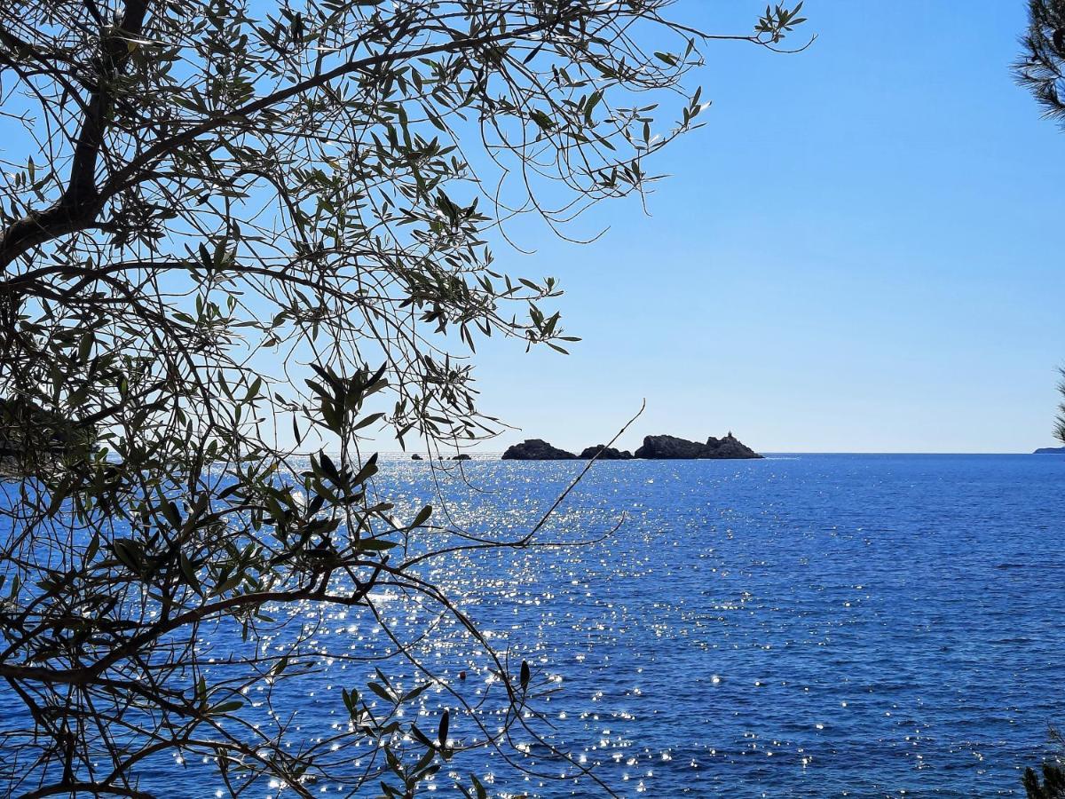 Blue Promenade Apartments Dubrovnik Exterior photo